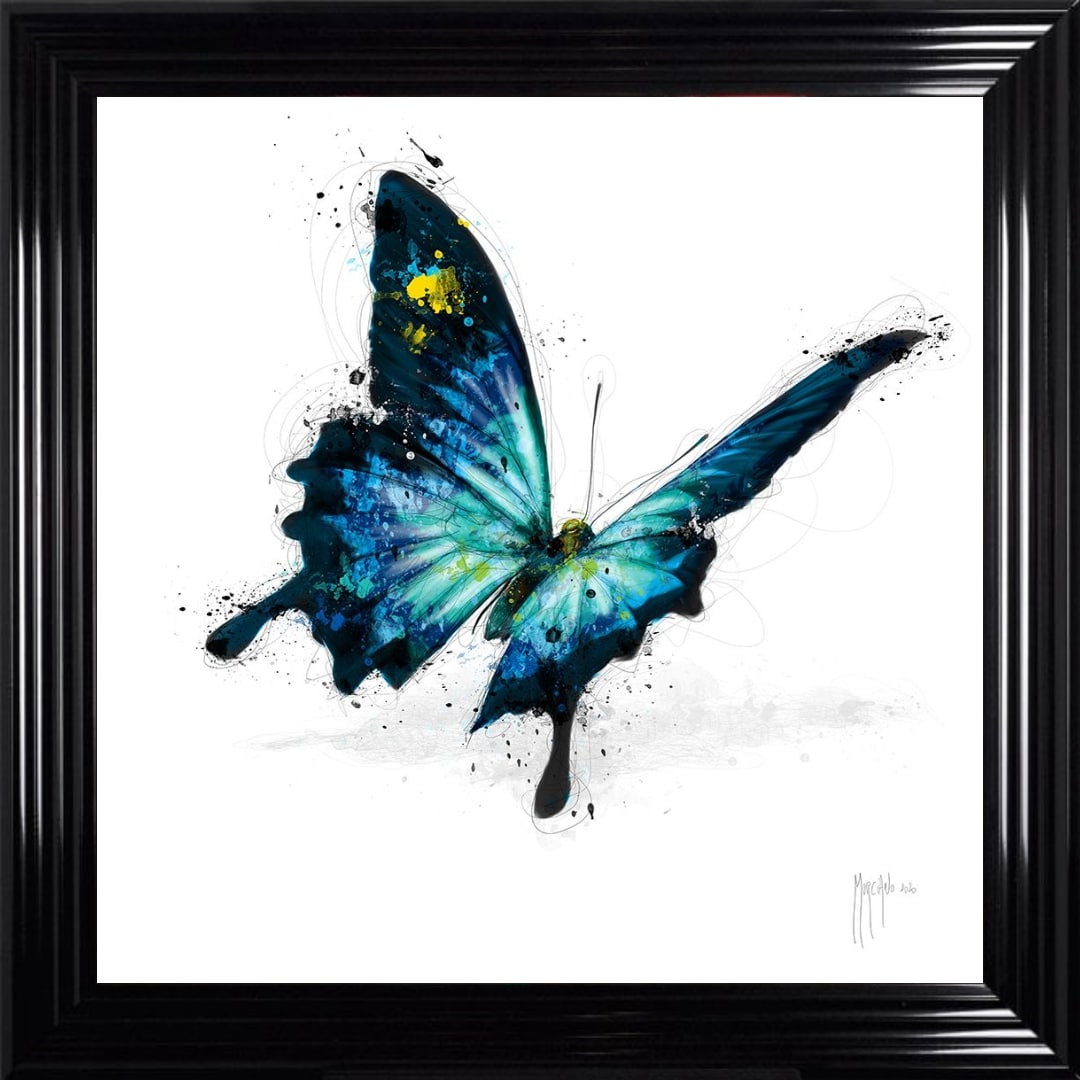 Untitled (25) Butterfly - Framed Wall Art by Patrice Murciano