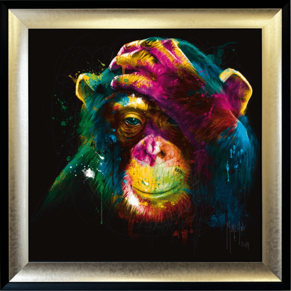 Darwin Monkey Framed Picture by Patrice Murciano