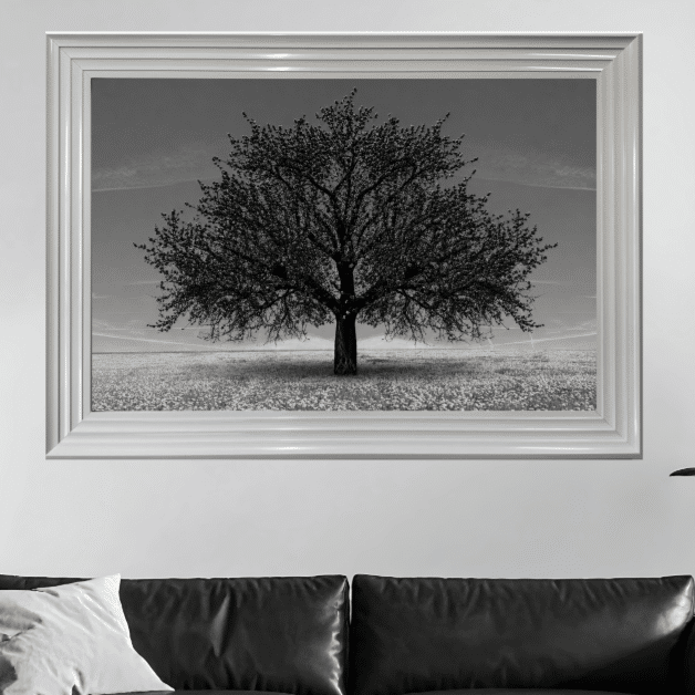 Black Cherry Tree - Framed Wall Art for all Living Rooms
